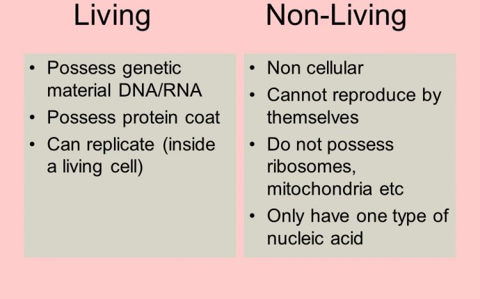 Viruses Extremely small (can only be viewed using an electron
