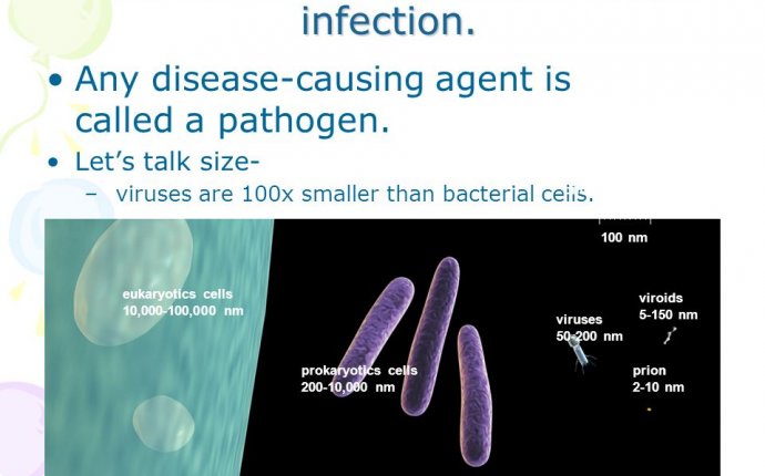 Viruses Why are viruses considered non-living? Do they have