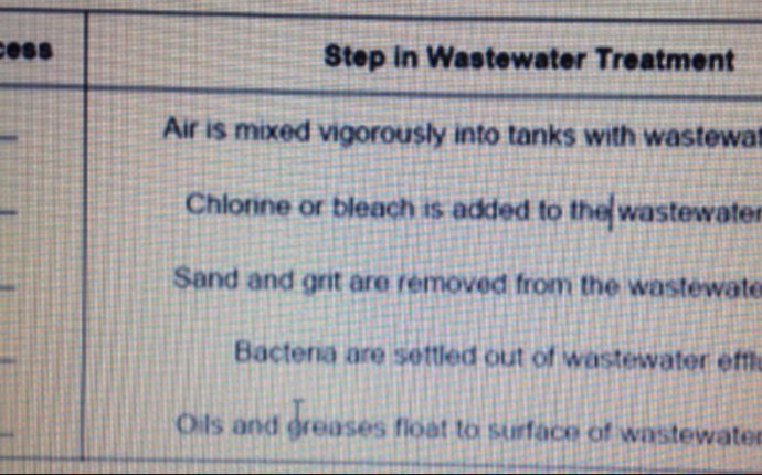 Wastewater Treatment Activity - Melissa Salas