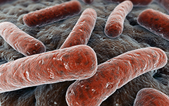 Healthy bacteria