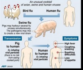 Image of How Viruses Spread How Viruses Spread Image