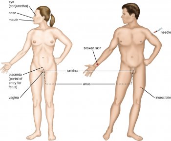 Portals of entry: eye (conjunctiva), nose, mouth, ear, needle, broken skin, insect bite, urethra, vagina, anus, placenta (portal of entry for fetus).